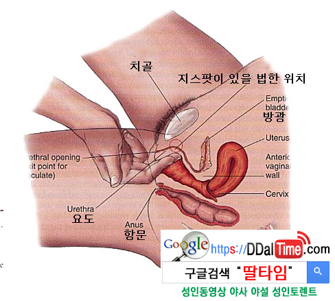 G스팟 이제는 찾아야 할 때 1 이미지 #4