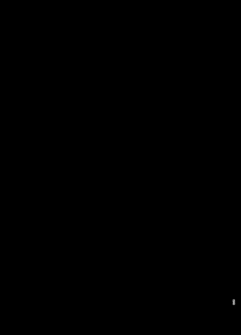 17516790223349.webp