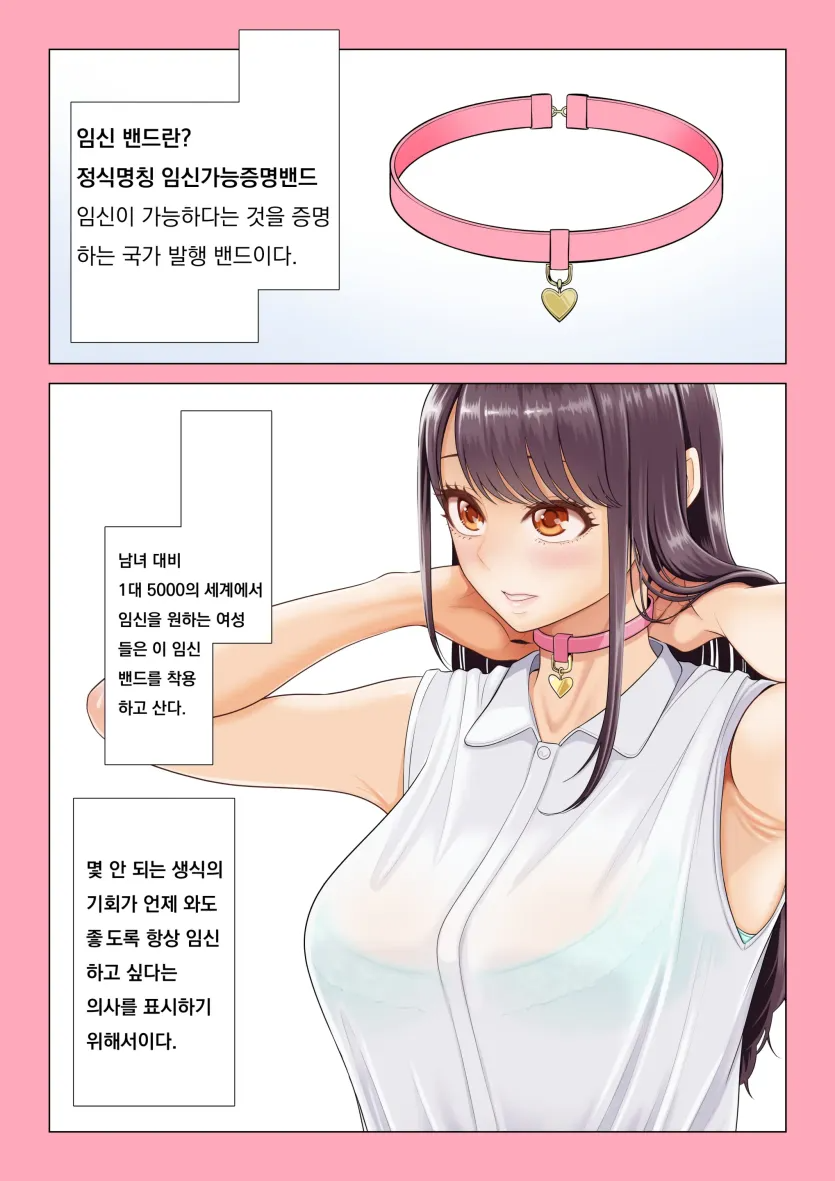 17517672268761.webp
